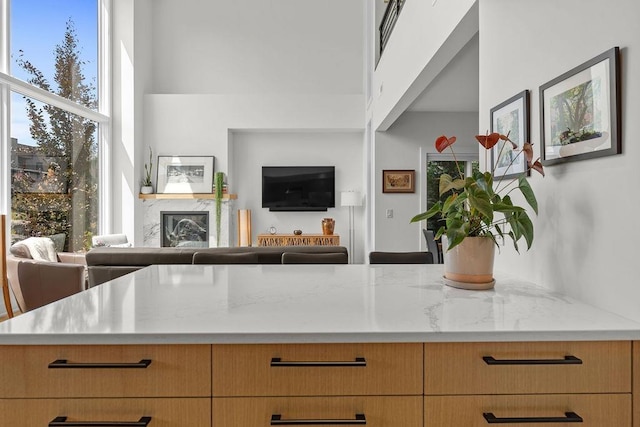 4408 E 23rd Ln, Spokane, WA 99223 - kitchen with open floor plan, light stone countertops, and a high ceiling
