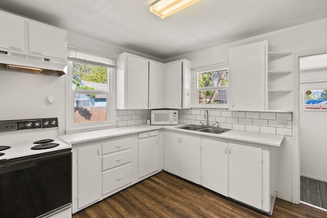 8007 E Euclid Ave, Spokane, WA 99212 - kitchen with range with electric stovetop, white microwave, under cabinet range hood, dark wood finished floors, and tasteful backsplash