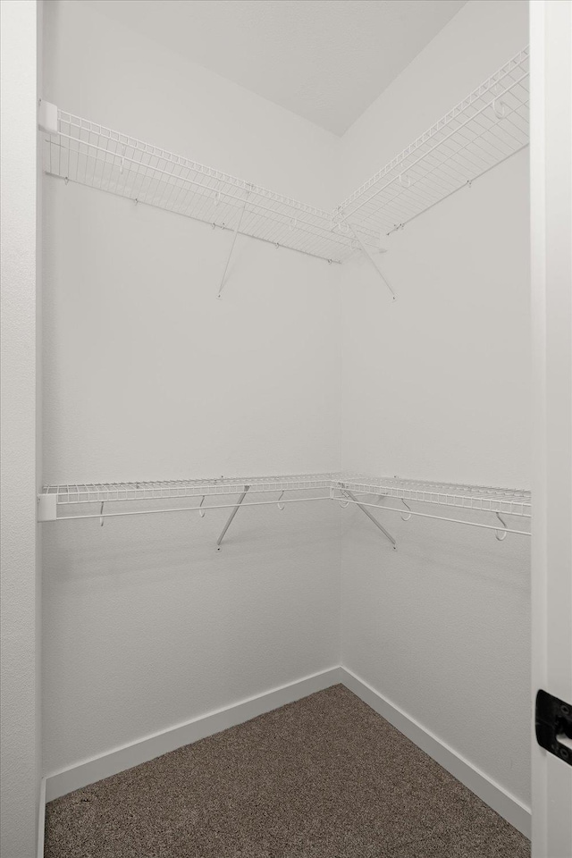5181 N Crestline St, Spokane, WA 99207 - photo 16