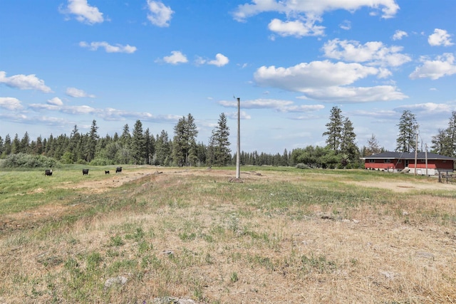 25012 S Harmony Rd, Cheney, WA 99004 - photo 36