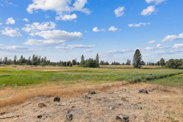 25012 S Harmony Rd, Cheney, WA 99004 - photo 39