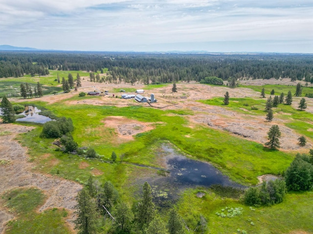25012 S Harmony Rd, Cheney, WA 99004 - photo 41