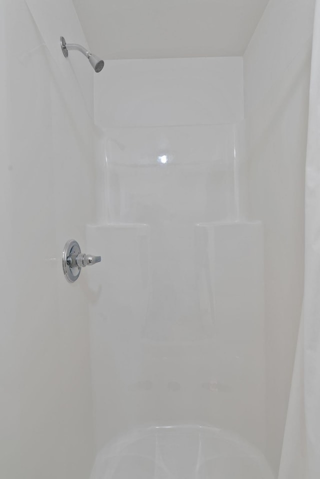 4045 Maple St, Loon Lake, WA 99148 - bathroom view of a shower