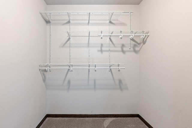 8814 E Clearview Ln, Spokane, WA 99217 - view of spacious closet