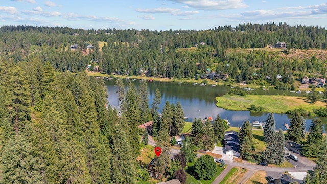 4171 S Westway Dr, Coeur D Alene, ID 83814 - aerial view of property and surrounding area with a forest and a large body of water