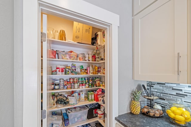 4171 S Westway Dr, Coeur D Alene, ID 83814 - view of pantry