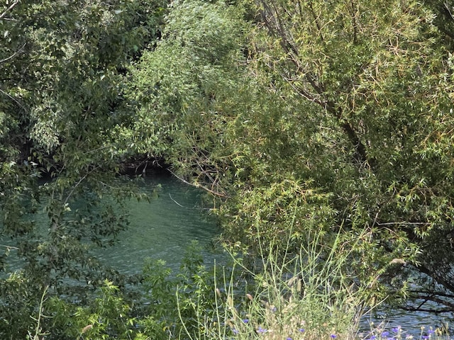 1528 E Boone Ave, Spokane, WA 99202 - water view