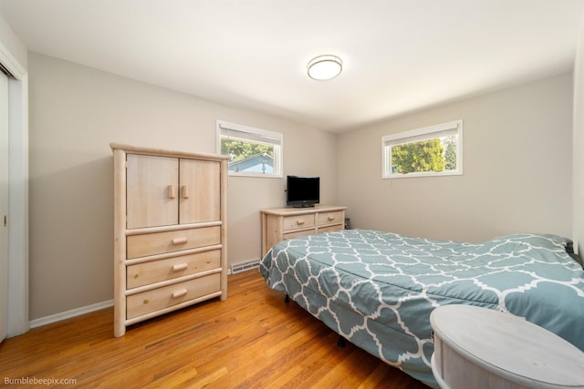 224 W Hoerner Ave, Spokane, WA 99218 - bedroom with light wood-style flooring and a closet