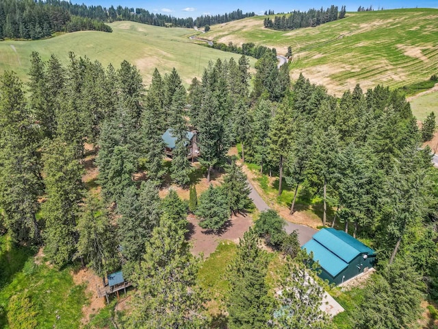16712 N Dalton Rd, Spokane, WA 99208 - photo 9
