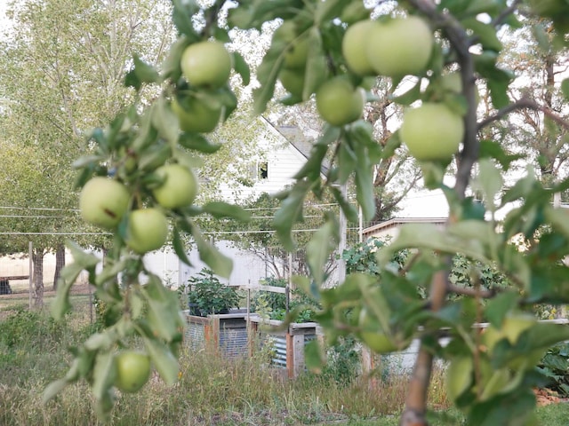 609 E Urquhart Rd, Ritzville, WA 99169 - photo 40
