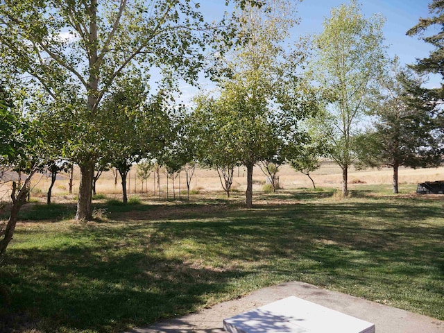 609 E Urquhart Rd, Ritzville, WA 99169 - photo 41