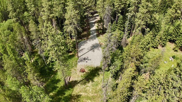 178 Teal Rd, Usk, WA 99180 - photo 17