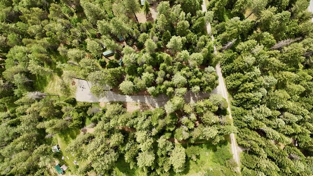 178 Teal Rd, Usk, WA 99180 - photo 18
