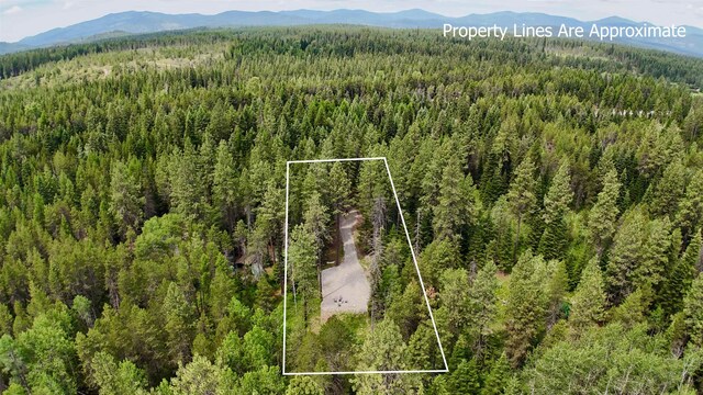 178 Teal Rd, Usk, WA 99180 - photo 3