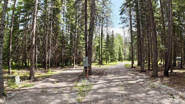 178 Teal Rd, Usk, WA 99180 - photo 6