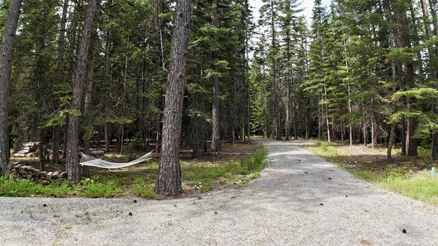 178 Teal Rd, Usk, WA 99180 - photo 8