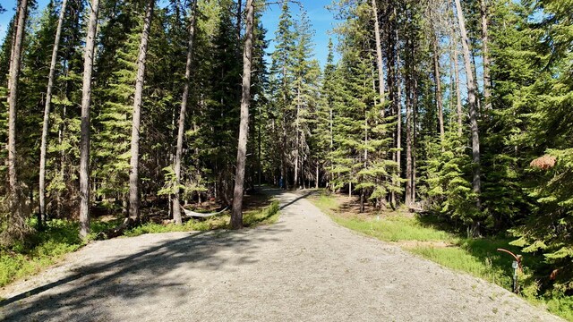 178 Teal Rd, Usk, WA 99180 - photo 9