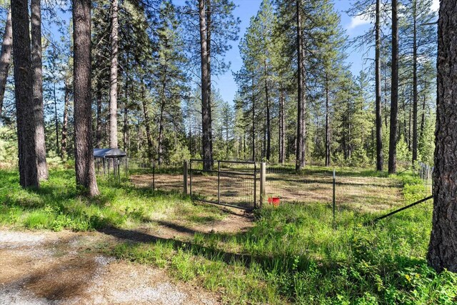 3 W Montgomery Rd, Deer Park, WA 99006 - view of yard with a gate and a wooded view