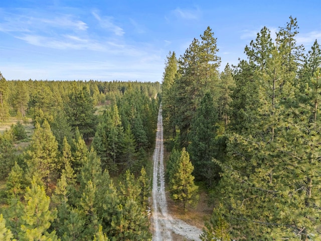 3 W Montgomery Rd, Deer Park, WA 99006 - view of wooded area