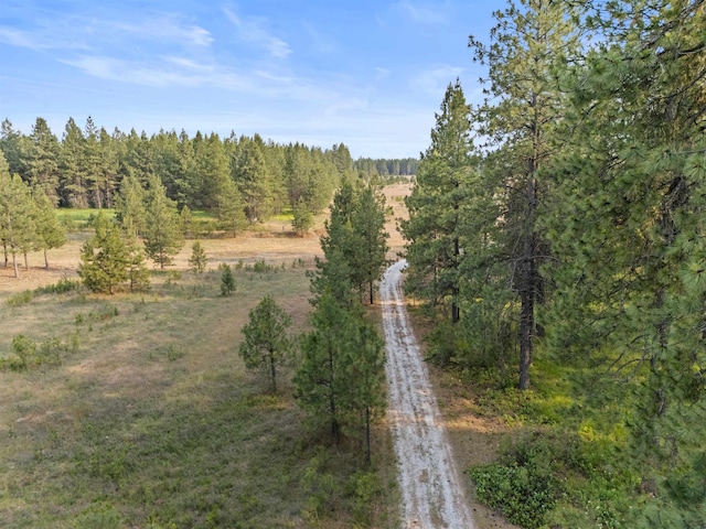 3 W Montgomery Rd, Deer Park, WA 99006 - view of undeveloped land