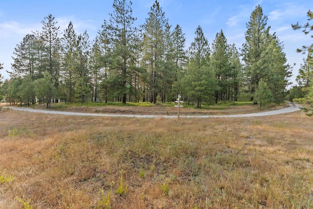 3 W Montgomery Rd, Deer Park, WA 99006 - view of yard