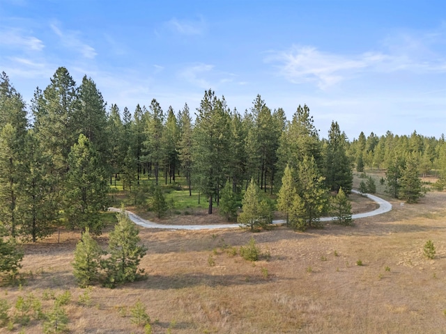 3 W Montgomery Rd, Deer Park, WA 99006 - view of wooded area