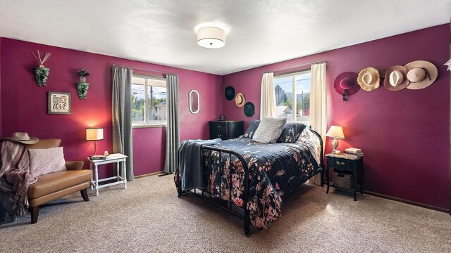709 W Clay Ave, Chewelah, WA 99109 - bedroom with multiple windows and carpet floors
