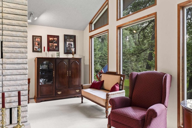 13614 N Minihdoka Trl, Spokane, WA 99208 - living area featuring a textured ceiling, carpet flooring, and vaulted ceiling
