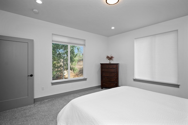 5902 S Lochsa Ln, Spokane, WA 99206 - photo 26
