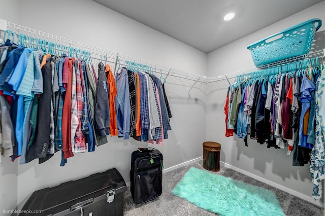 3640 S Clinton Rd, Spokane Valley, WA 99206 - walk in closet featuring carpet floors