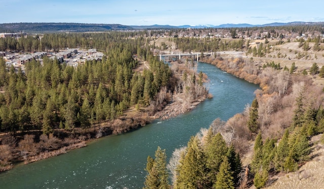 1747 N W Point Rd, Spokane, WA 99201 - photo 23