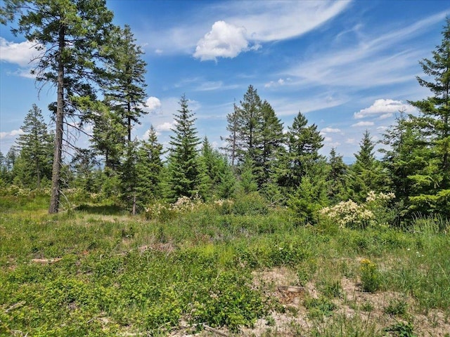 NKA N Moose Drool Ln Lot E, Lot E, Spokane, WA 99208 - photo 11