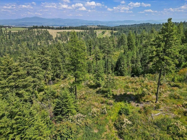 NKA N Moose Drool Ln Lot E, Lot E, Spokane, WA 99208 - photo 12