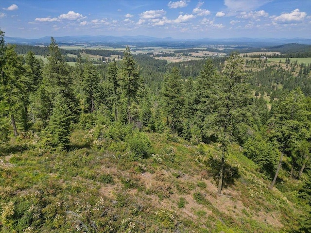 NKA N Moose Drool Ln Lot E, Lot E, Spokane, WA 99208 - photo 13