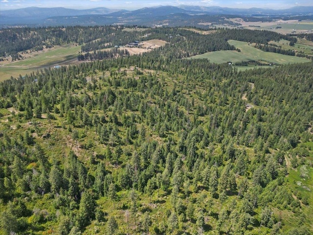 NKA N Moose Drool Ln Lot E, Lot E, Spokane, WA 99208 - photo 4