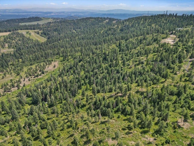 NKA N Moose Drool Ln Lot E, Lot E, Spokane, WA 99208 - photo 6