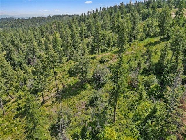 NKA N Moose Drool Ln Lot E, Lot E, Spokane, WA 99208 - photo 7