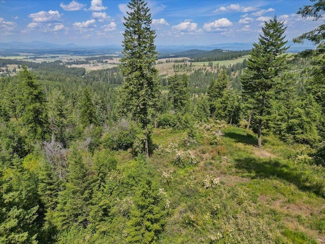 NKA N Moose Drool Ln Lot E, Lot E, Spokane, WA 99208 - photo 9