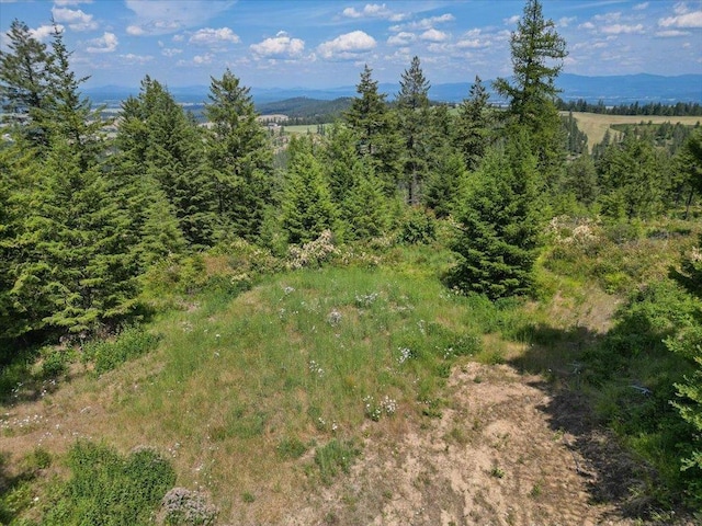 NKA N Moose Drool Ln Lot E, Lot E, Spokane, WA 99208 - photo 10