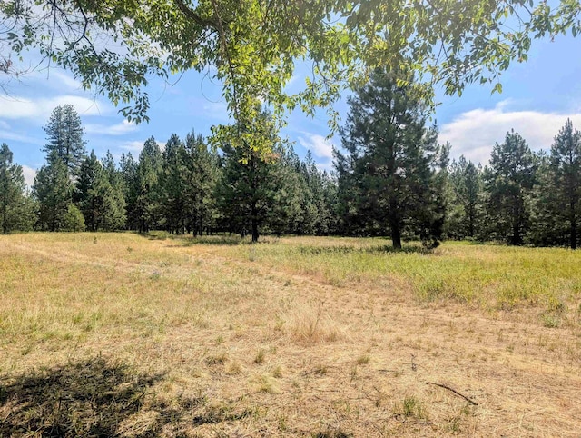 627 E 3rd Ave, Deer Park, WA 99006 - photo 37