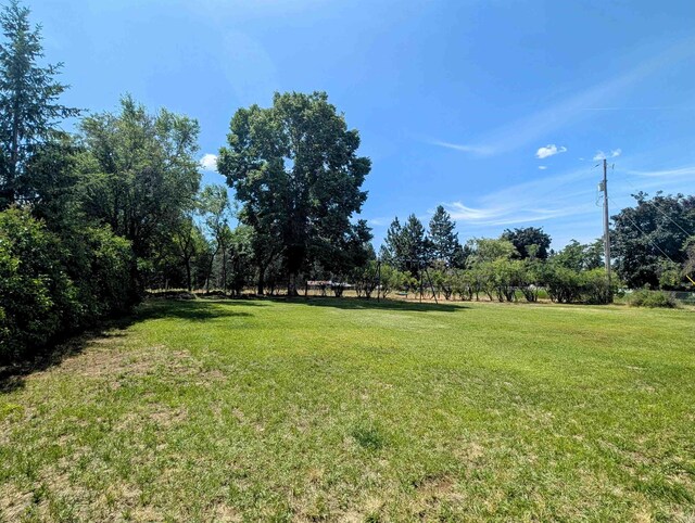 627 E 3rd Ave, Deer Park, WA 99006 - photo 43