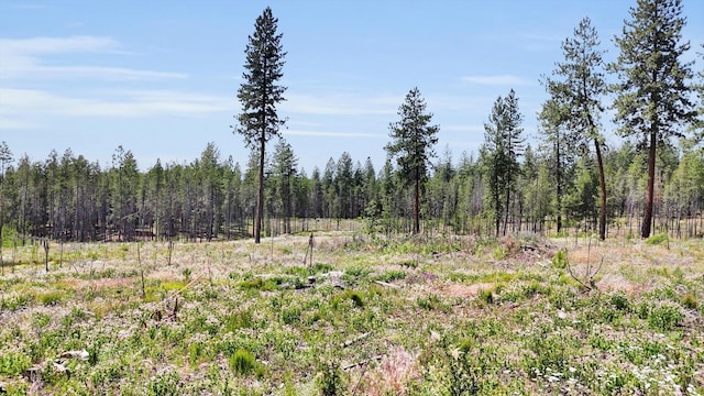000 W Denison-Chattaroy Rd, Deer Park, WA 99006