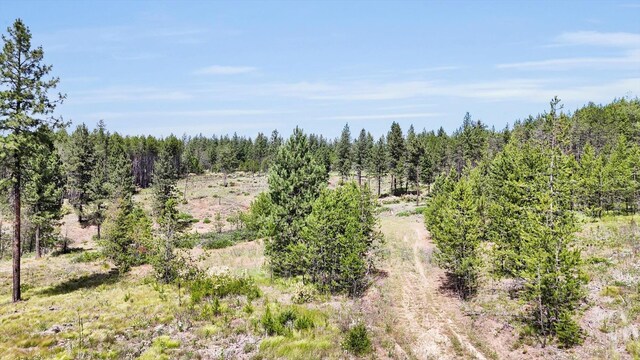 000 W Denison-Chattaroy Rd, Deer Park, WA 99006