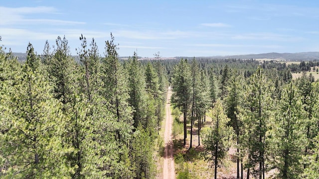 000 W Denison-Chattaroy Rd, Deer Park, WA 99006