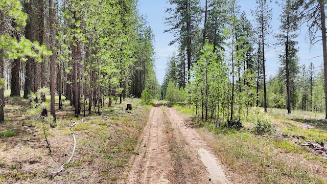 000 W Denison-Chattaroy Rd, Deer Park, WA 99006