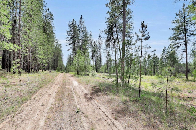 000 W Denison-Chattaroy Rd, Deer Park, WA 99006