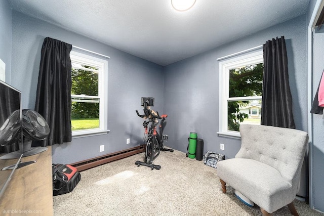 4128 E 22nd Ave, Spokane, WA 99223 - workout area featuring a baseboard radiator and carpet