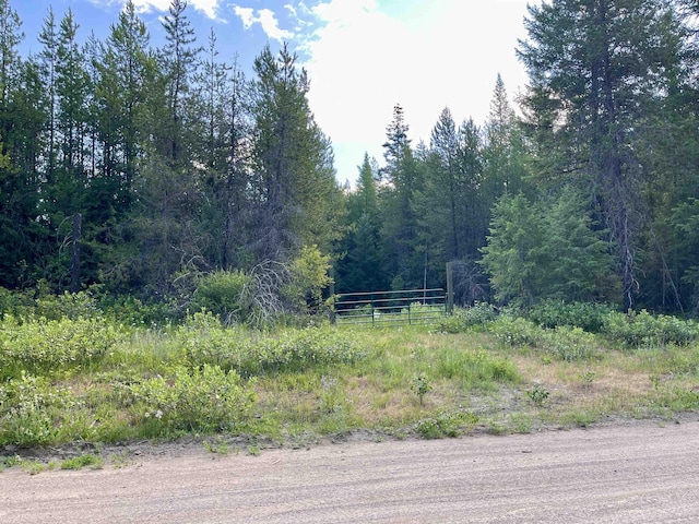 3900 Veit Rd, Newport, WA 99156 - photo 2