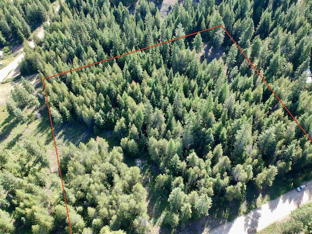 3900 Veit Rd, Newport, WA 99156 - photo 3