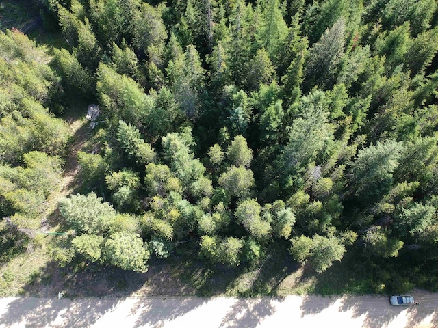 3900 Veit Rd, Newport, WA 99156 - photo 5